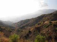 Blick ins Troodosgebirge