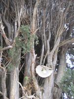 Am Fuße des Monte Luppia