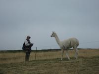 Na, wer will jetzt was?