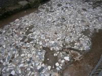 Altes Pflaster in Pompej