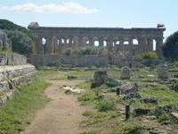 Poseidon Tempel in Paestum