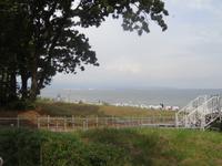 Blick auf die Kreideküste von Binz aus