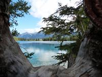 P1020417-Jasper Park Lodge