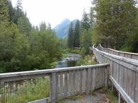 P1020586-Bärenbeobachtungspunkt am Fish Creek