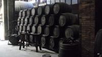 in der Cava Codorniu