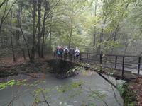 am Bach Curak