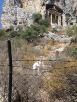 die Mutigen immer voran