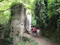 Wanderung in das Mühlental