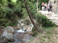 Wanderung in das Mühlental
