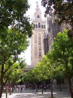 Blick auf den Giralda-Turm