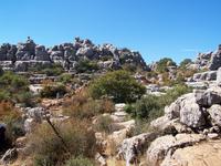 Im Naturpark El Torcal