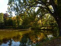 Schlossteich von Schloss Lauterbach