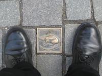 Spur in der Hamelner Altstadt