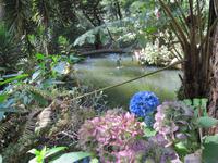 8 Jardim Tropical Garden