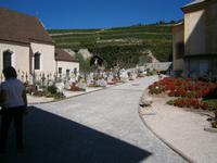 Der Friedhof des Klosters, im Hintergrund die Weinberge