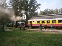 Es ist an der Zeit wieder nach Elk zurückzukehren, Bitte alle einsteigen!