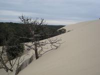 Wanderduene von Pilat