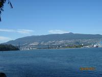 The Lions Bridge