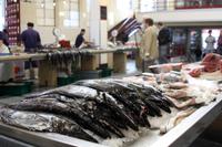 Schwarzer Degenfisch