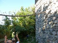 wein
