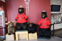 Die Tiere Kanadas im Calgary Tower