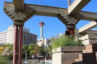 Blick vom Olympic Place auf den Calgary Tower