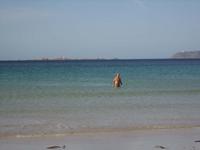 Eine Wette wird eingelöst