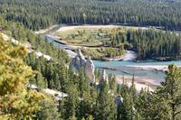 Hoodoos - Sandsteinskulpturen im Bow-Tal