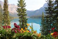 Emerald Lake im Yoho-Nationalpark