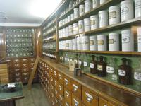 im Waldmuseum Zwiesel