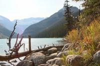 Am Lake Louise im Banff-Nationalpark
