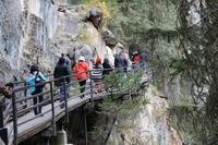 Wanderung am Johnston Canyon