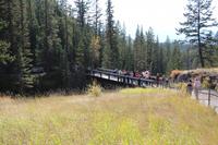 Spaziergang am Maligne Canyon im Jasper Nationalpark