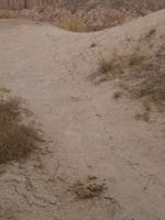 Ameisenstraße Schwerter-Tal