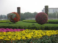 Peking - Blumenschmuck auf dem Tiananmen-Platz