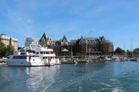 Auf zur Walbeobachtung in Victoria!