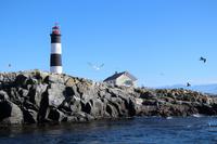 Walbeobachtung vor Victoria - Robbeninsel mit Leuchtturm