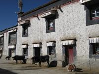 In der Altstadt von Gyantse
