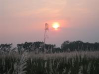 Sonnenuntergang im Chitwan-Nationalpark
