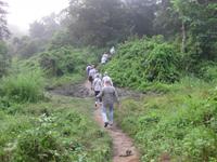 Morgentliche Wanderung durch den Chitwan-Nationalpark