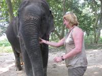 Wir dürfen den Elefanten füttern