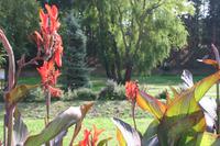 Blumenstadt Zalakaros