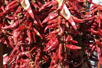 In Tihany - Paprika