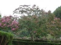 Besichtigung des Ortes Covadonga