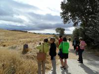 Wanderung auf dem Jacobsweg nach Muruzábal