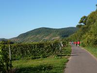 Radleridylle