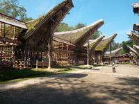 Kete Kesu - Vorzeigedorf der Toraja