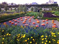 Villadry_Gemüseparterre