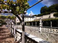 Weinpergola in Villandry