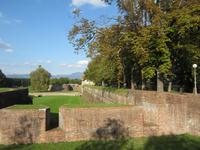 Stadtmauer von Lucca
